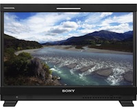 Sony PVM Monitor 24