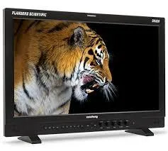 Flanders DM220 OLED 22"