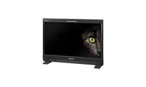 Sony 2541 OLED 24"